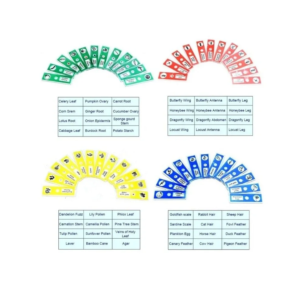 48pcs Prepared Microscope Slides for Kids Animals Insects Plants Biology Science